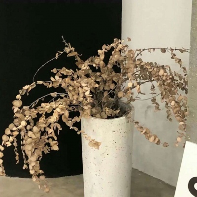 兽设质感表现技巧兽圈社群